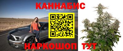 a pvp Дубна