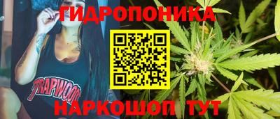PSILOCYBIN Донской