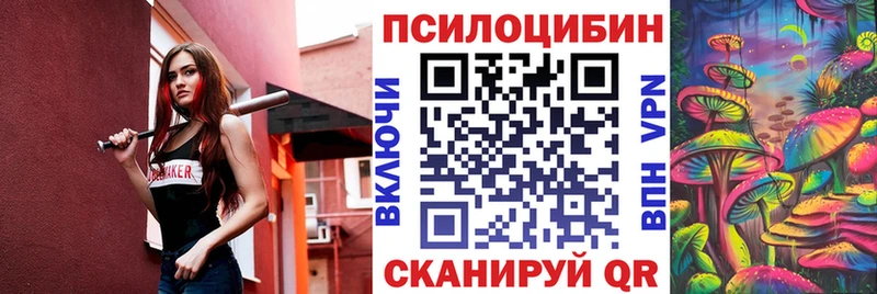 кракен tor  купить   Златоуст  Галлюциногенные грибы Cubensis 