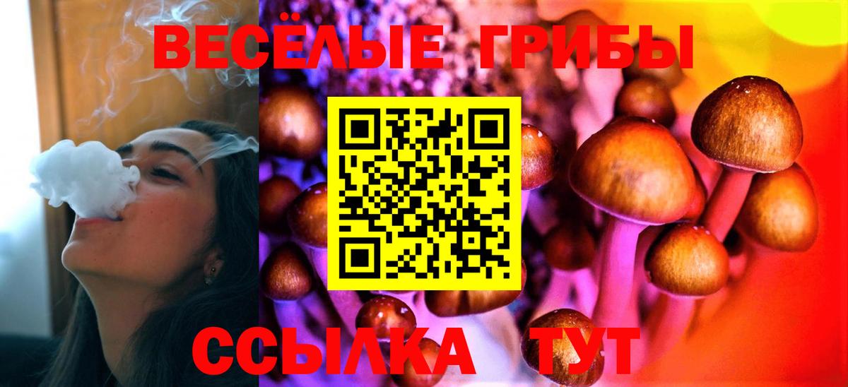 Галлюциногенные грибы Psilocybe Златоуст